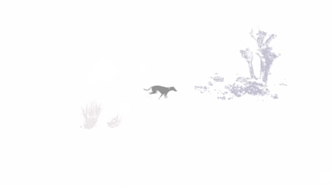 Thumbnail for The Act of Killing (Joshua Oppenheimer, USA/Indonesia, 2012, 122’)