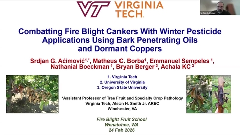 Thumbnail for Combatting fire blight cankers - Srdjan Acimovic