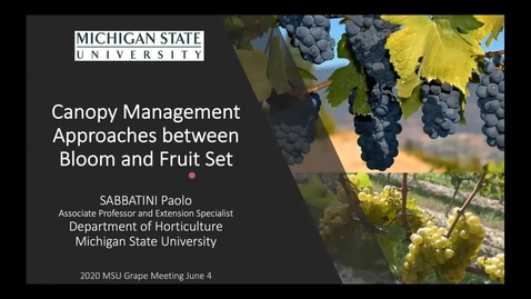 Thumbnail for Canopy management approaches between bloom and fruit set