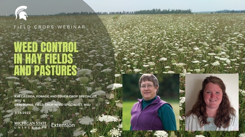 Thumbnail for Field Crops Webinar 3-14-22 - Weed Management in Hay and Pasture Fields - Cassida Burns