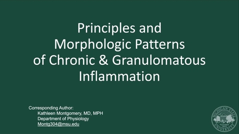 Thumbnail for HPL Week 12 PLM - Chronic and Granulomatous Inflammation  