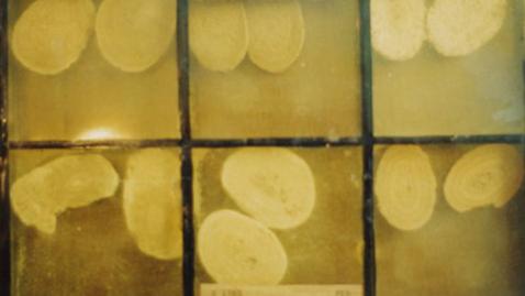 Thumbnail for 1C-9E-3A-67-lamqua-a0a0f0-b