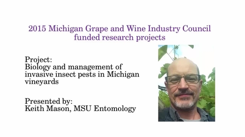 Thumbnail for Biology and management of invasive insect pests in Michigan vineyards by Keith Mason