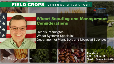 Thumbnail for Field Crops Virtual Breakfast – Wheat Scouting and Management Considerations