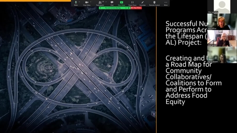 Thumbnail for SNPAL Project Introduction