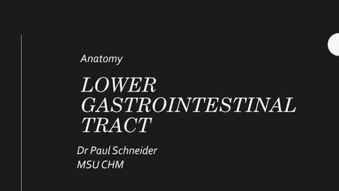 Thumbnail for Surgical Anatomy Intersession - Gross Anatomy Lab 4.12.2022