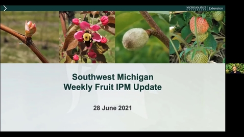 Thumbnail for SW Michigan Fruit Update June 28, 2021