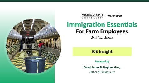 Thumbnail for Immigration Essentials Webinar #1: ICE Insight