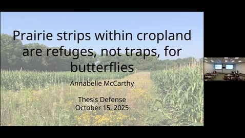 Thumbnail for Annabelle McCarthy Defense Seminar - Prairie strips within cropland are refuges, not traps, for butterflies