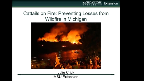 Thumbnail for Wild About Backyard Conservation: Cattails on Fire