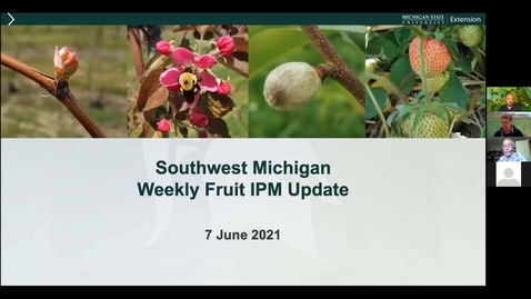 Thumbnail for SWFruitUpdateJune0607.2021