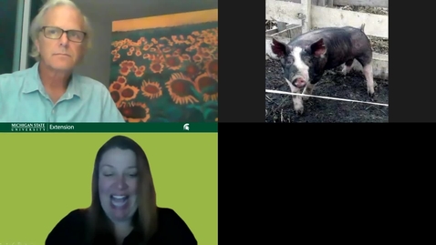 Thumbnail for Swine Parasite and Deworming Protocols