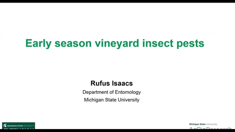 Thumbnail for Early season vineyard insect pests