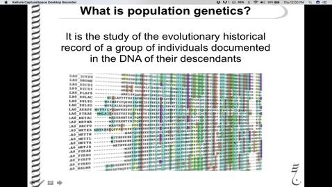 Thumbnail for BasicHardyWeinberg