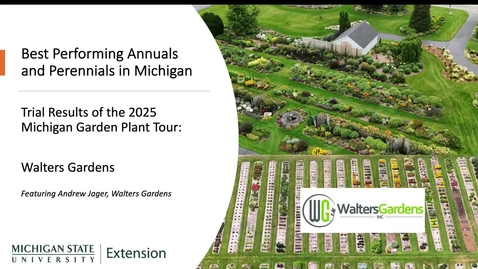 Thumbnail for Best Varieties from Walters Gardens: Michigan Garden Plant Tour 2025