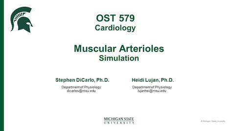 Thumbnail for MuscularArteriolesL