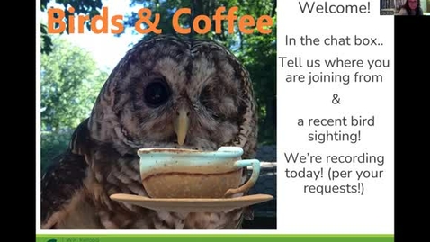 Thumbnail for Birds &amp; Coffee Chat: Raptors 2023