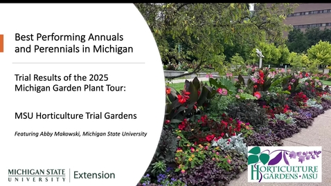 Thumbnail for Best Varieties at MSU Trial Gardens: Michigan Garden Plant Tour 2025