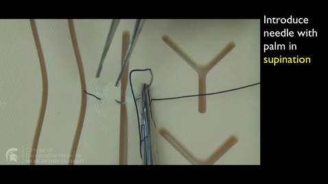 Thumbnail for Vertical Mattress LH suture