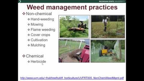 Thumbnail for Orchard weed management and practices impacting beneficial and pest insects