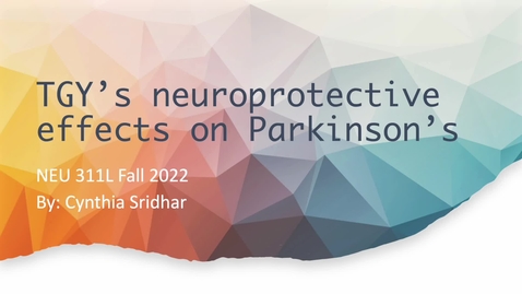 Thumbnail for NEU311L-HO-ProfessionalVideo