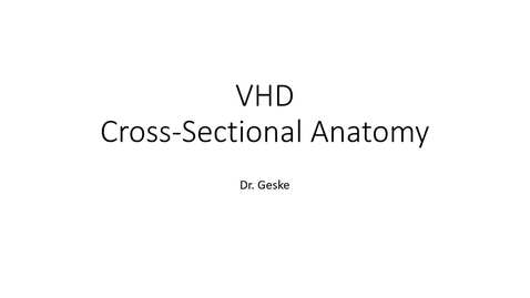 Thumbnail for VHD Cross Sectional Anatomy