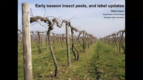 Thumbnail for Grape Kickoff 2020 - Early season insect pests and label updates