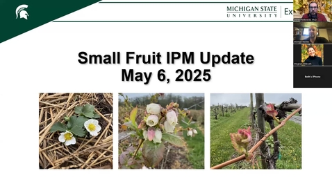 Thumbnail for May 6, 2025 MSUE Small Fruit IPM Update for Southern Michigan
