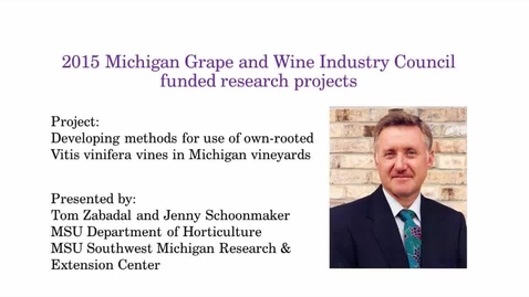 Thumbnail for Developing methods for use of own-rooted Vitis vinifera vines in Michigan vineyards by Tom Zabadal