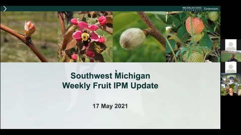 Thumbnail for SW Michigan Fruit Update May 17, 2021