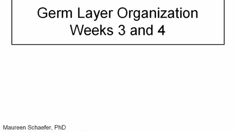 Thumbnail for ANTR510 (005) Early Embryology: Germ Layer Organization