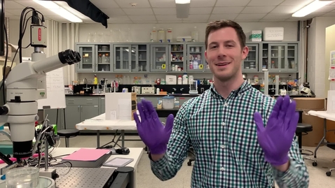 Thumbnail for Jordan's microscope intro part 1 of 3