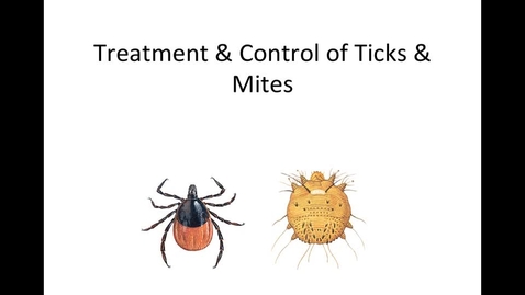 Thumbnail for Control-of-ticks-mites-HM-887-week-14