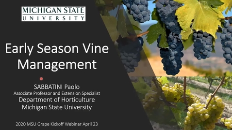Thumbnail for Grape Kickoff 2020 - Early season vine management