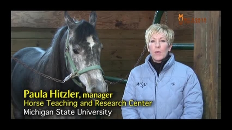 Thumbnail for VM 515-Introduction to Horse Handling and Restraint