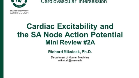 Thumbnail for CPR Intersession: Cardiac Excitability and teh SA Node Action Potential