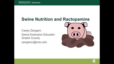 Thumbnail for Swine Nutrition and Ractopamine Update