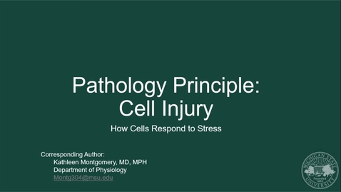 Thumbnail for M1 Week 7 HPL PLM: Pathology Principles: Cell Injury