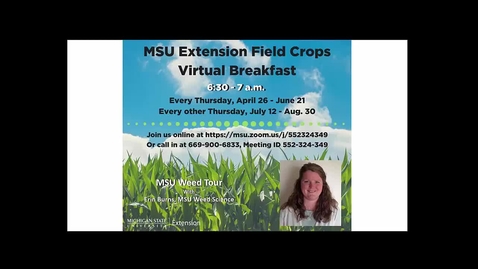 Thumbnail for Virtual Breakfast 6/21/18: Erin Burns, MSU Weed Tour