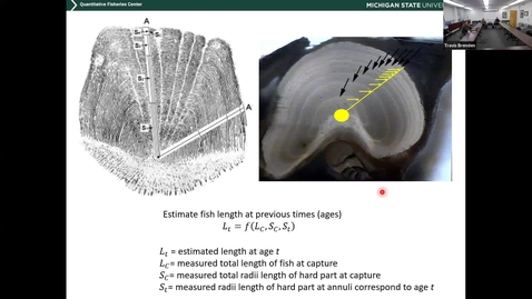 Thumbnail for Feb 18, 2026: Fish Population Dynamics
