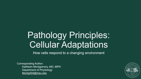 Thumbnail for HPL Week 7 Pathology Principles: Cellular Adaptation