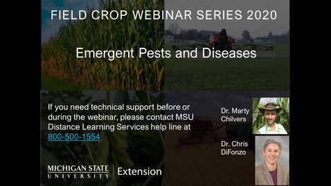 Thumbnail for Field Crops Webinar Series 3-02-20 - Emergent Pests and Diseases