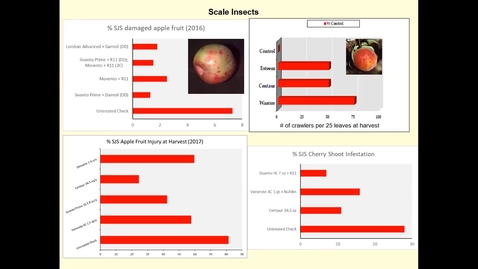 Thumbnail for Peach Tree Borer Management Options - Mike Reinke - Michigan Spring Peach Meeting 2022