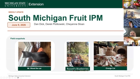 Thumbnail for South Michigan Fruit IPM Update June 9, 2026