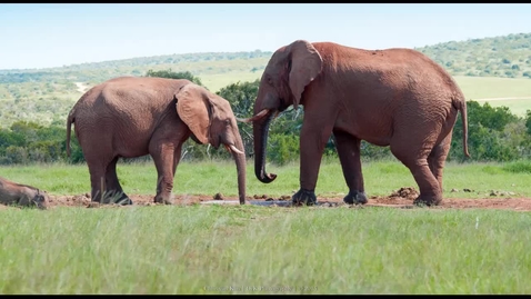 Thumbnail for GEO204: Introduction to SubSaharan Africa