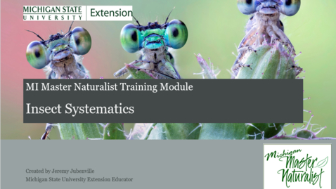Thumbnail for 2022 MIMN SDO Entomology*