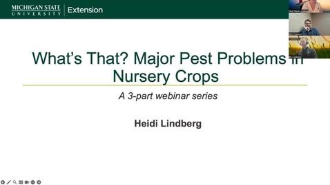 Thumbnail for Top Disease Problems Deciduous and Coniferous in Trees