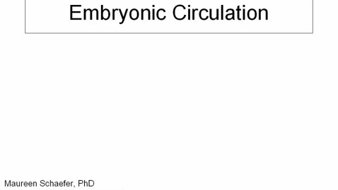 Thumbnail for ANTR510 (006) Early Embryology: Embryonic circulation 
