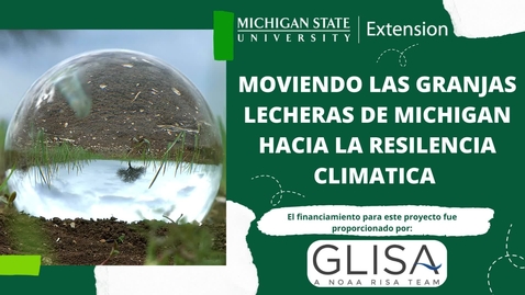 Thumbnail for  Estrés por calor en vacas lecheras  en sistemas de pastoreo