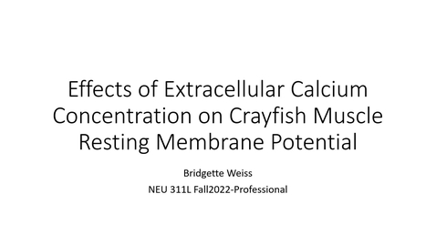 Thumbnail for NEU311L_HO Professional Presentation_BridgetteWeiss
